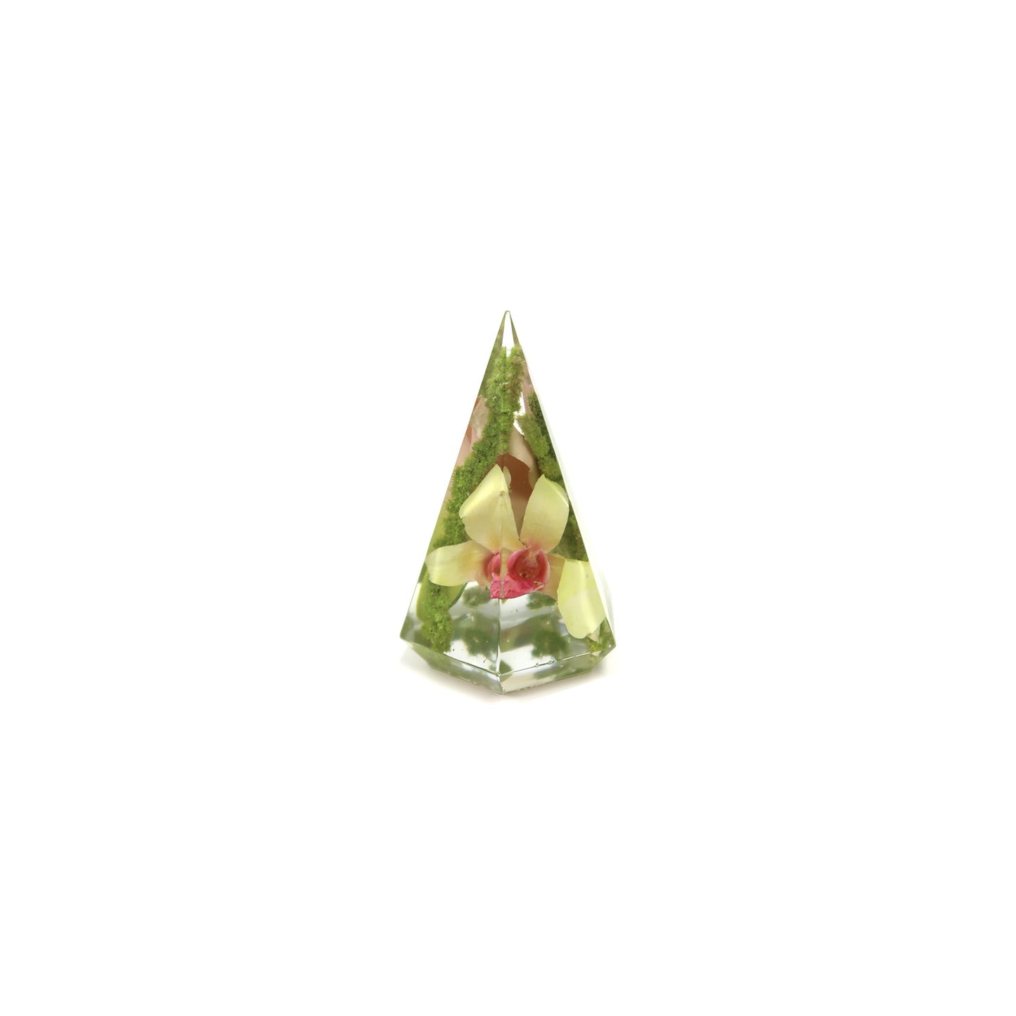 Ring Holder
