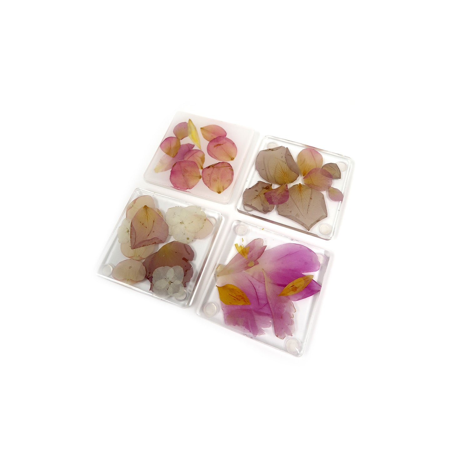 Petal Coasters Set of