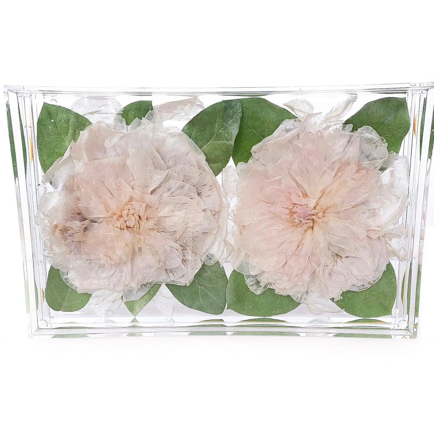Artistic view of 8x12 Rectangular Acrylic Tray, highlighting exquisite flower preservation techniques with dried blooms.
