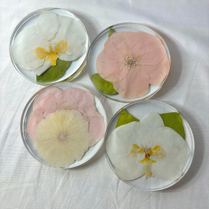 Set of 4 Coasters