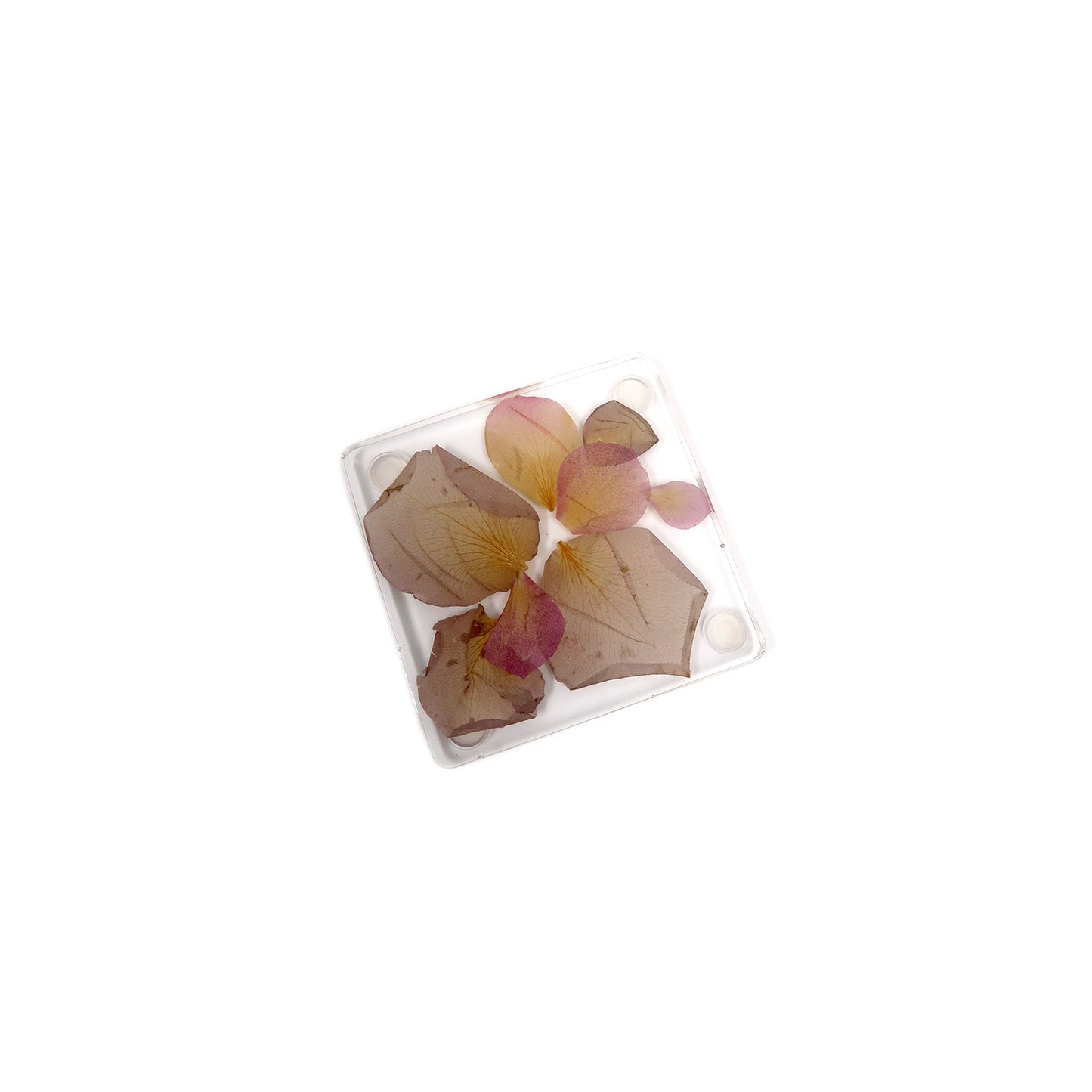 Petal Coasters - Set of 4