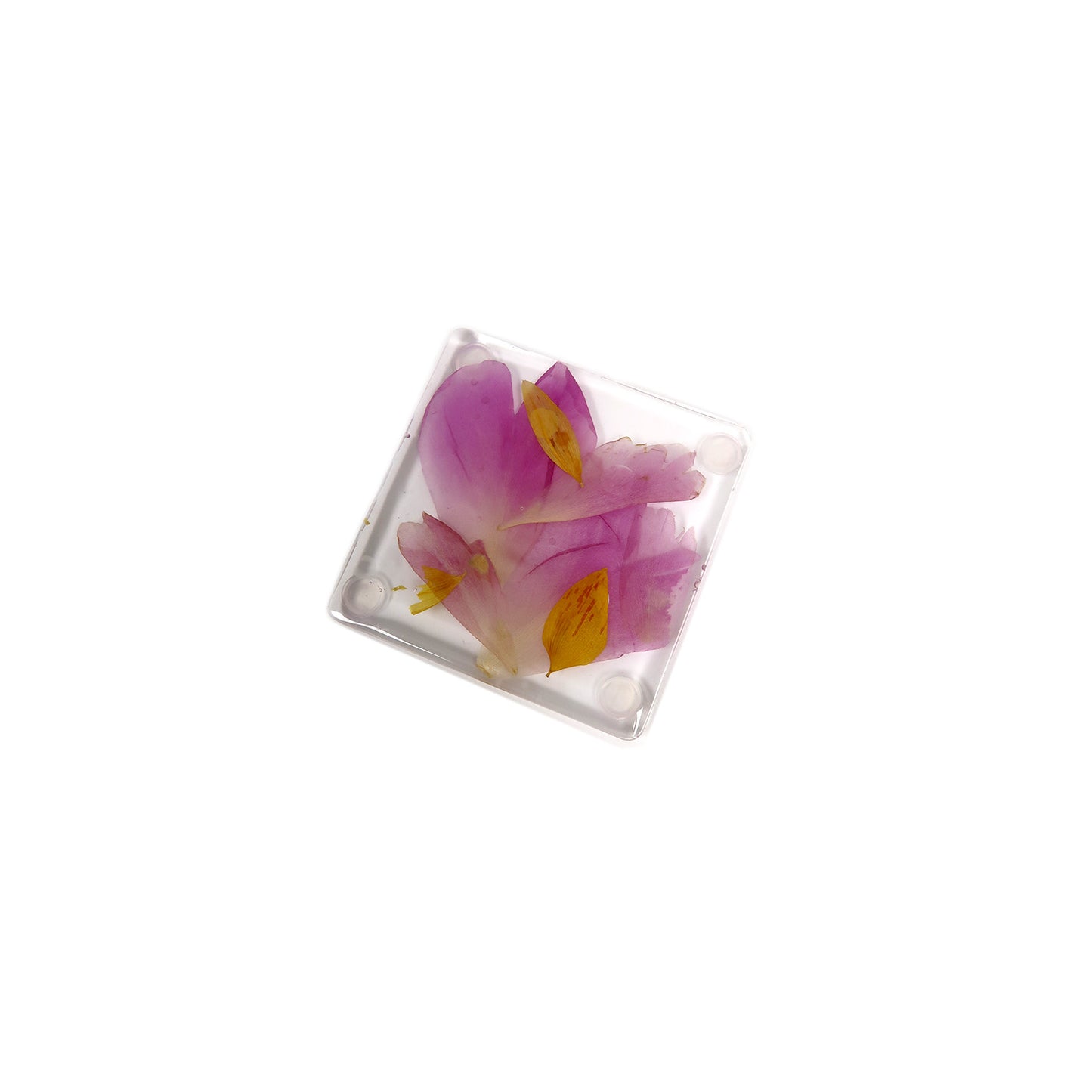 Petal Coasters - Set of 4