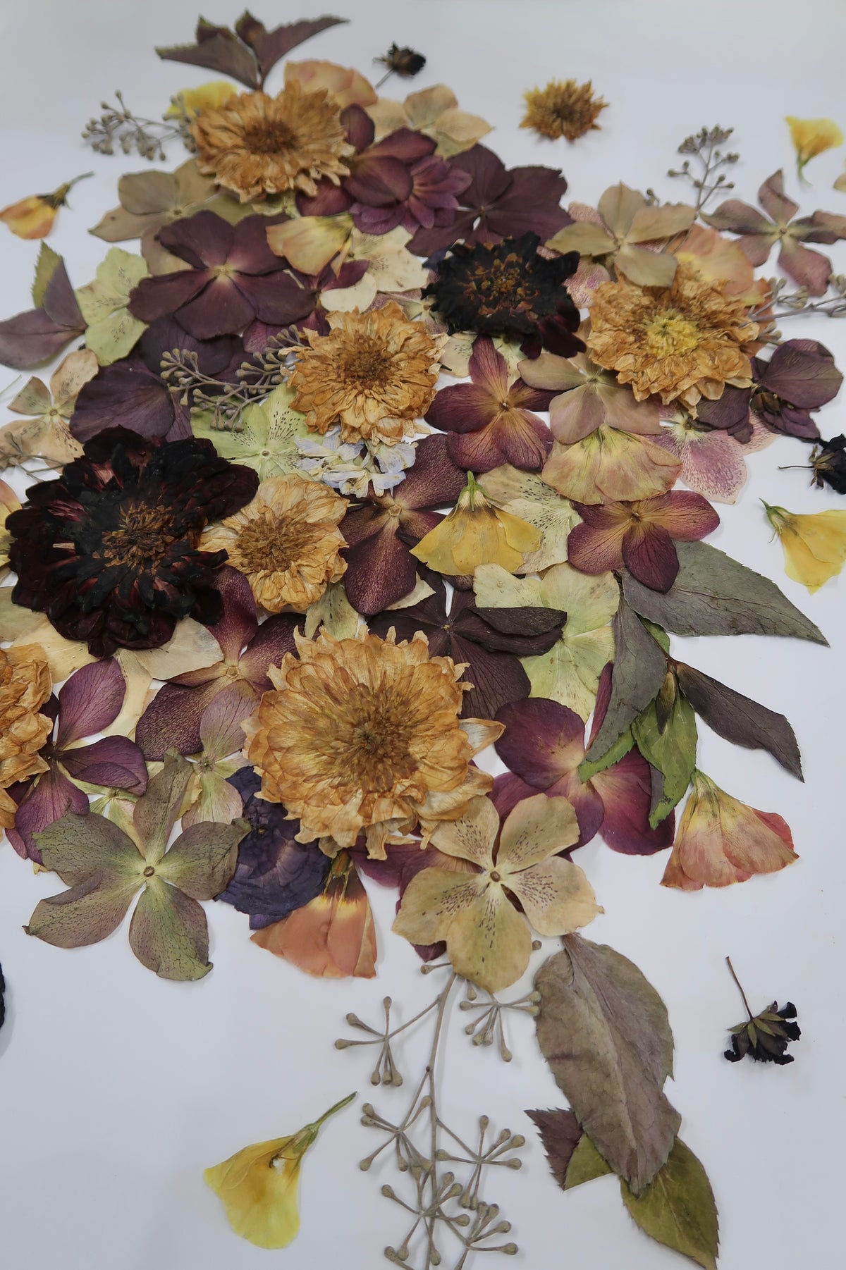 Naturally preserved dried flowers