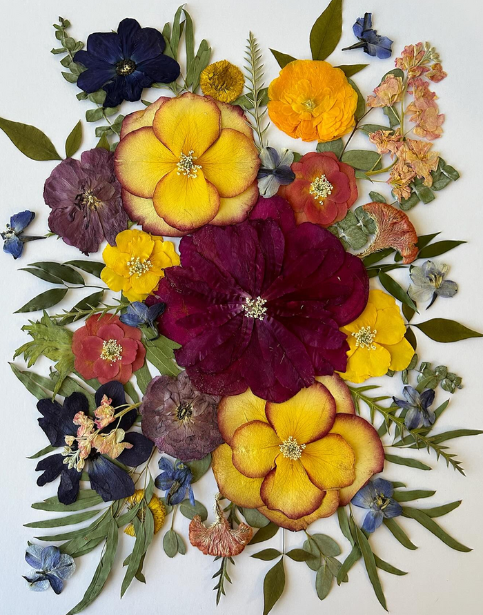 Color fading in pressed flower frames over time
