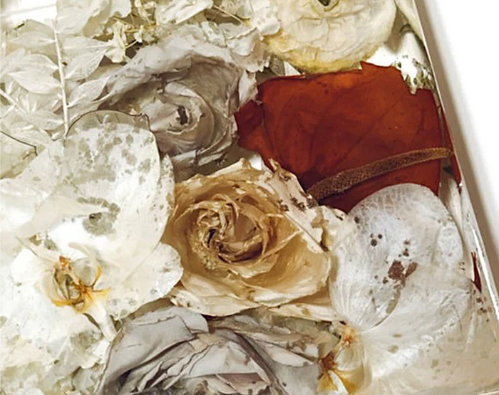 Flower bruising in resin preservation